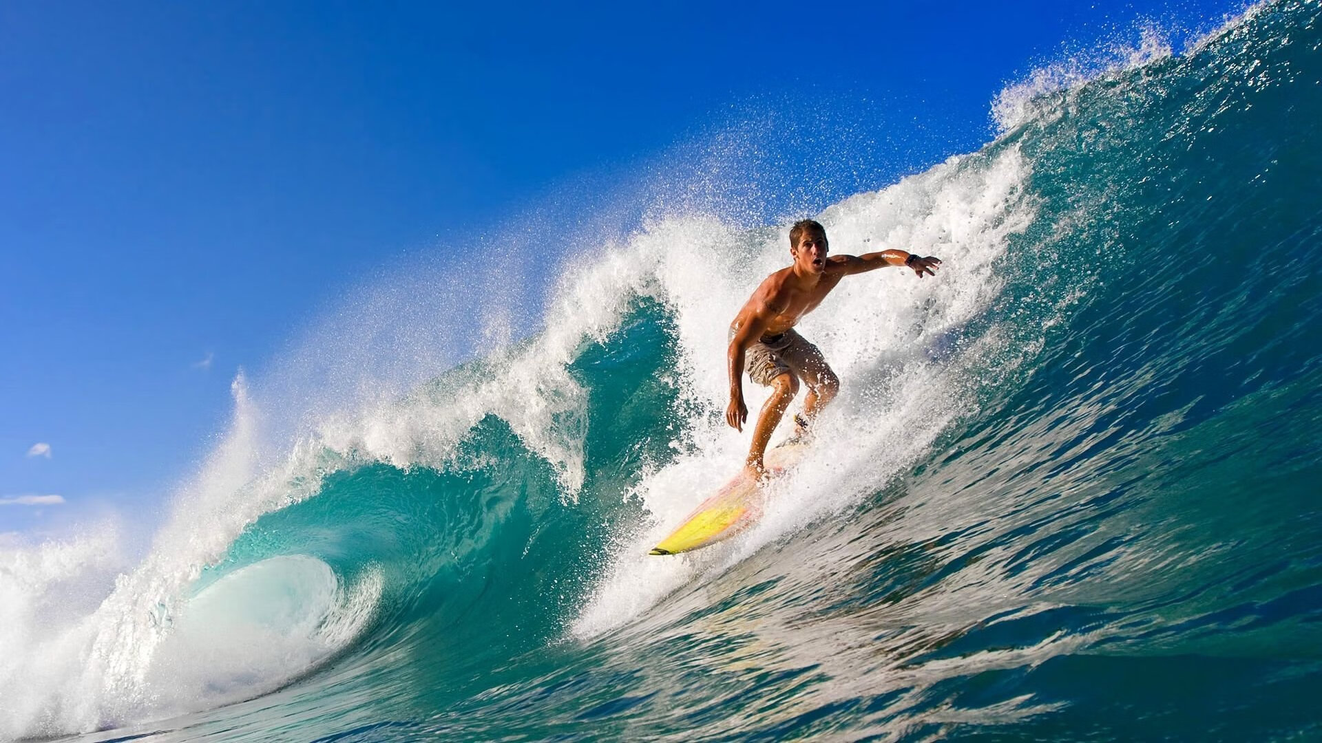 回顾高尔夫青少年赛冠军心路历程,回顾高尔夫青少年赛冠军心路历程的句子